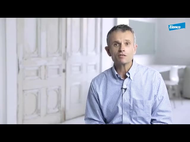 Ортопедичне обстеження колінного суглоба у собак